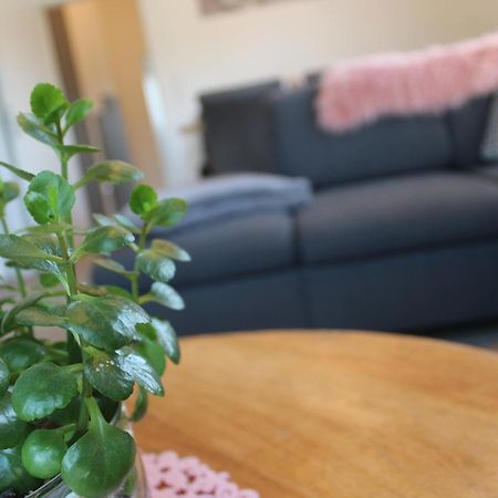 Ferienhaus Seehuis, Sauna, Angeln, Familienfreundlich Twist المظهر الخارجي الصورة