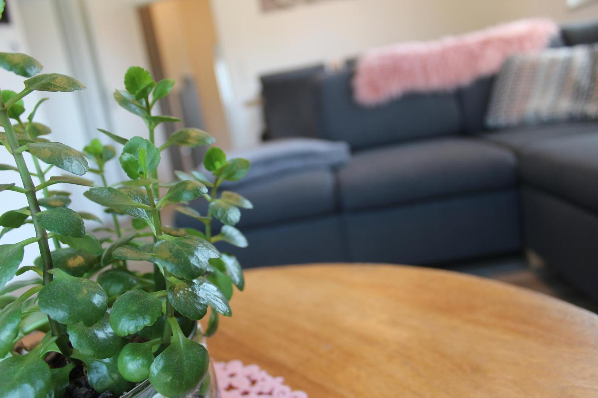 Ferienhaus Seehuis, Sauna, Angeln, Familienfreundlich Twist المظهر الخارجي الصورة